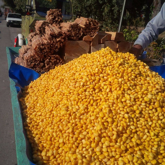 Termiye Konya'da çıra ile birlikte satılıyor