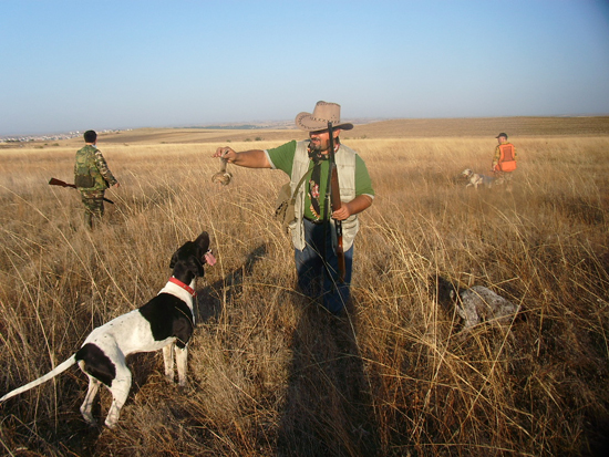 17-2.20160104100720.jpg 17-2.20160104100720.jpg