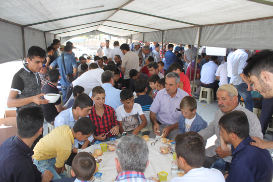 2-7.20160808095901.jpg 2-7.20160808095901.jpg