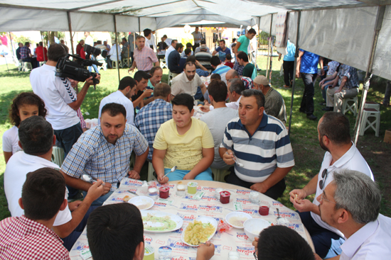 2-8.20160711095504.jpg 2-8.20160711095504.jpg