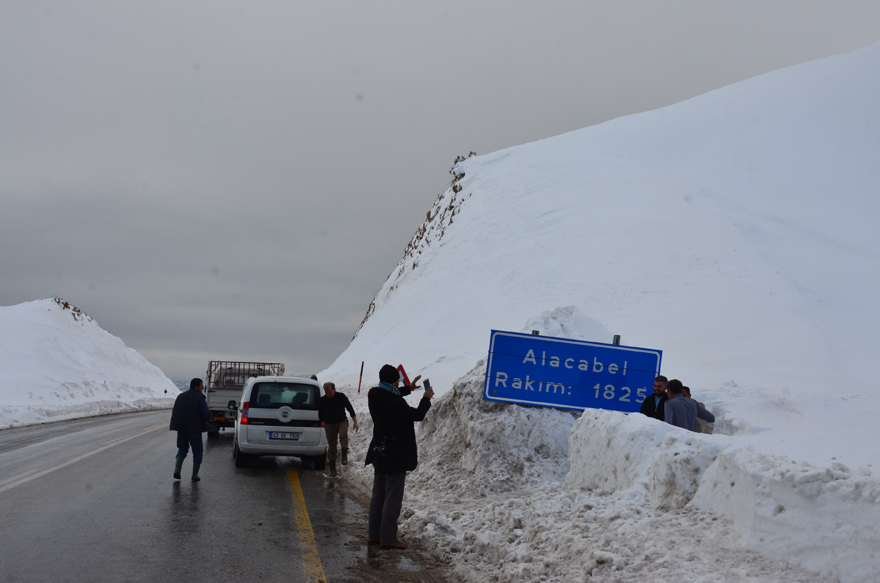 20170116_2_21310025_17997553.jpg 20170116_2_21310025_17997553.jpg