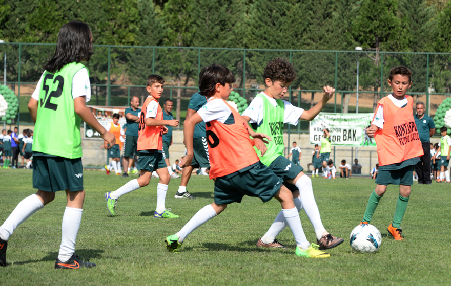 210-002.jpg 210-002.jpg