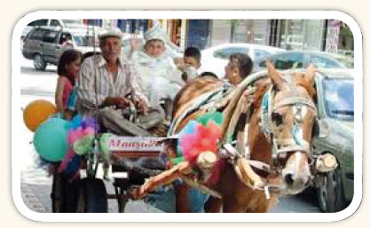 3.20141228120551.jpg 3.20141228120551.jpg