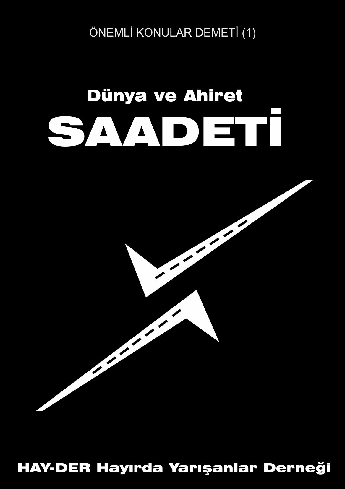 5.kapak-1li̇.jpg 5.kapak-1li̇.jpg
