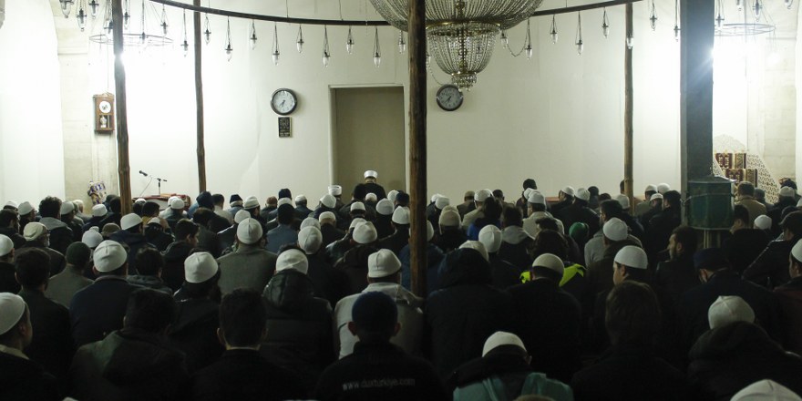 _mg_9203_880x440.jpg