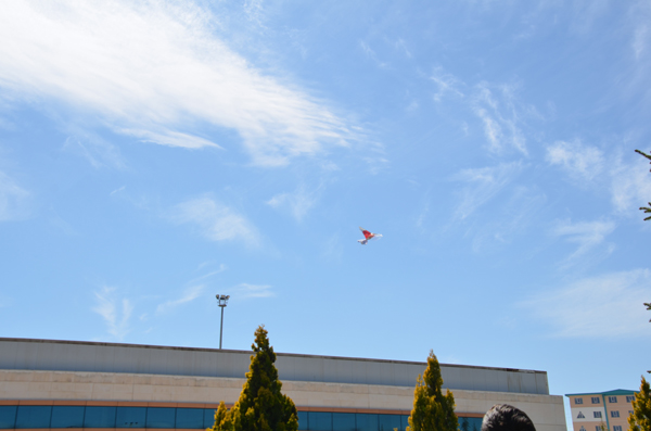 aa_picture_20140429_2191563_high.jpg