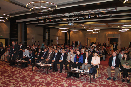 img_0005.jpg img_0005.jpg