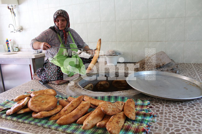 img_0572.jpg img_0572.jpg