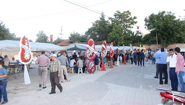 img_1743.20160725104040.jpg img_1743.20160725104040.jpg