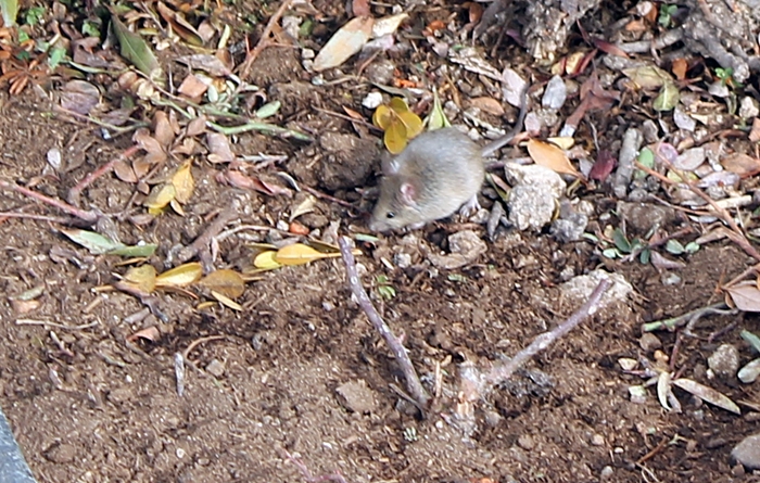 img_6778.jpg