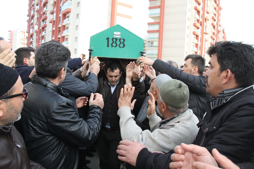 img_7313.jpg img_7313.jpg