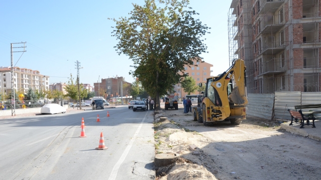 konya-da-asirlik-agaclar-yol-genisletmek-icin-6510036_o.jpg